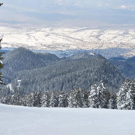 Spacious And Cosy Apartment In Bansko Royal Towers Complex Exteriör bild