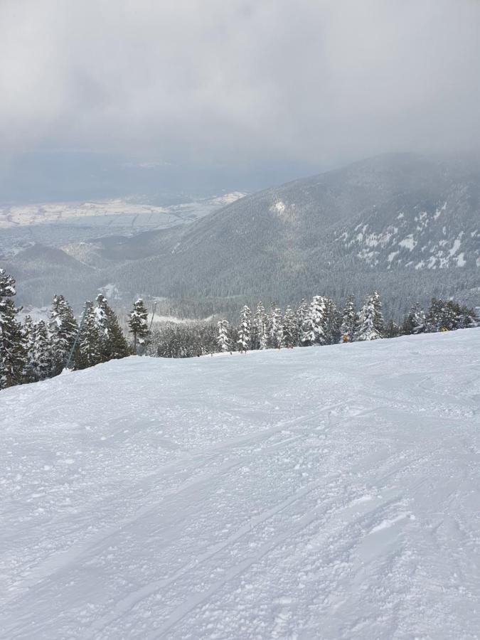 Spacious And Cosy Apartment In Bansko Royal Towers Complex Exteriör bild