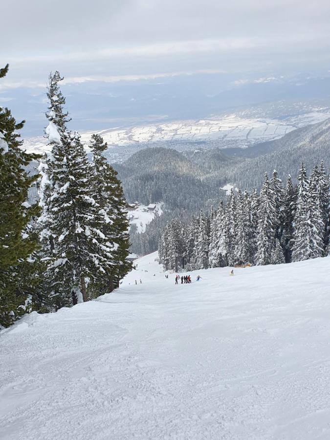 Spacious And Cosy Apartment In Bansko Royal Towers Complex Exteriör bild