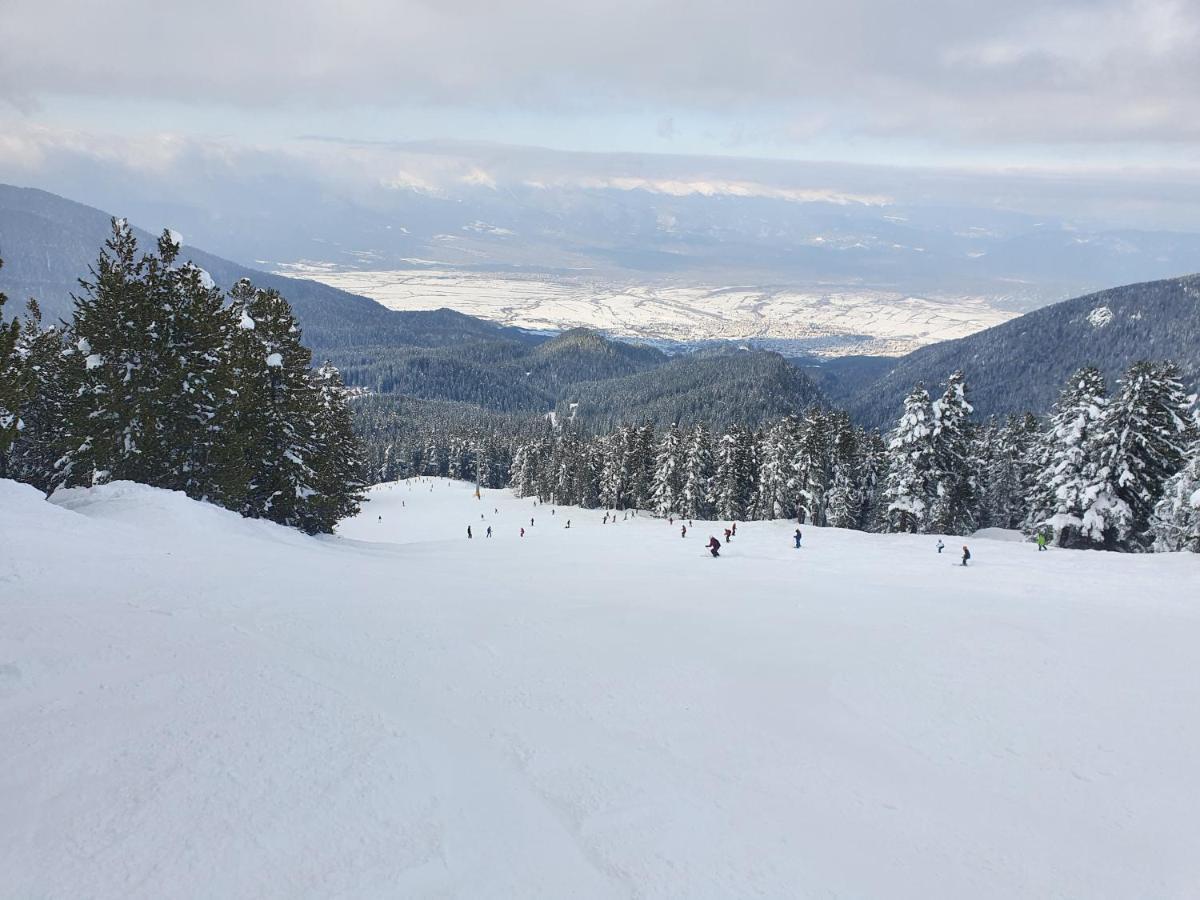 Spacious And Cosy Apartment In Bansko Royal Towers Complex Exteriör bild